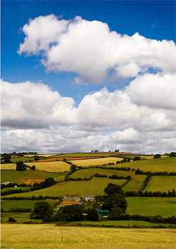 holiday cottages Devon