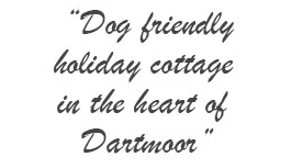 Holiday Cottages Dartmoor